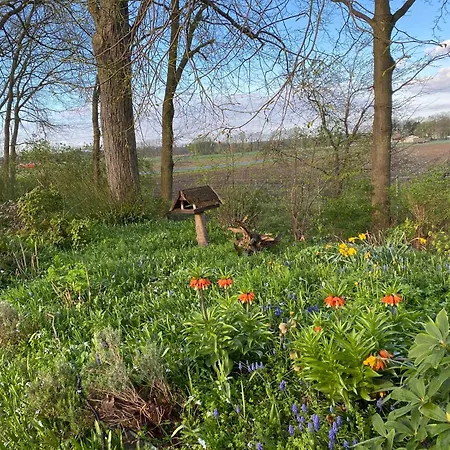 Bahnhof Mulknitz * Forst (Lausitz)