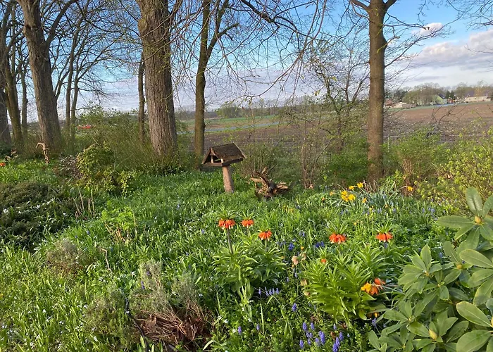 Bahnhof Mulknitz * فورست